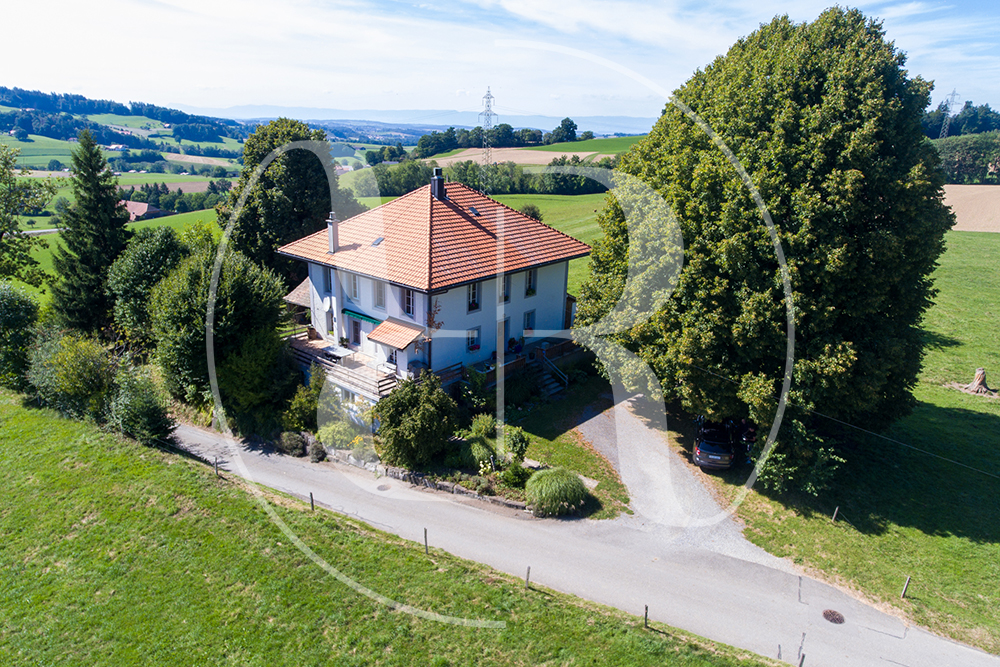 Einfamilienhaus Alterswil
